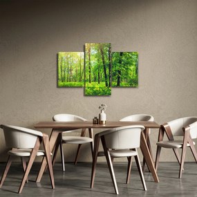 Tablou - Pădurea cu frunze de primăvară (90x60 cm)
