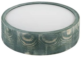 Brilagi - Plafonieră PINO 1xE27/15W/230V pin/verde Ø 27,5 cm