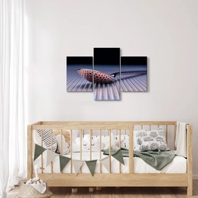 Tablou cu oglindire (90x60 cm)