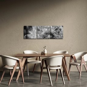 Tablou - mulțime de păpădii (cu ceas) (90x30 cm)