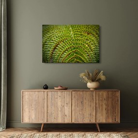 Tablou - Fern (90x60 cm)