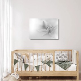 Tablou pe sticlă - Crin delicat (70x50 cm)