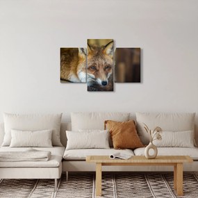 Tablou cu vulpe (90x60 cm)