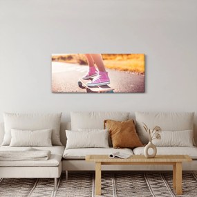 Tablou cu scateboard (120x50 cm)
