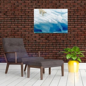Tablou pe sticlă - Ursul polar (70x50 cm)