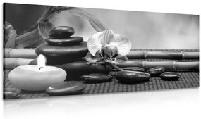 Tablou natura moartă Feng Shui în design alb-negru