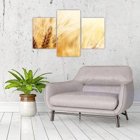 Tablou- detaliu cu (90x60 cm)