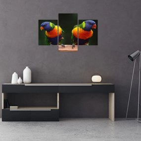 Tablou cu papagali (90x60 cm)