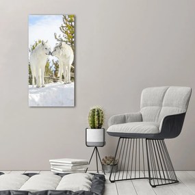 Imprimare tablou canvas Doi lupi albi