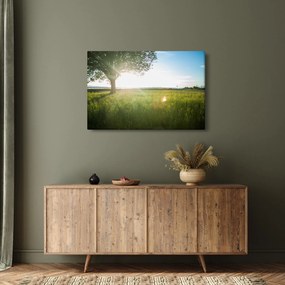 Tablou - Copac în câmp (90x60 cm)