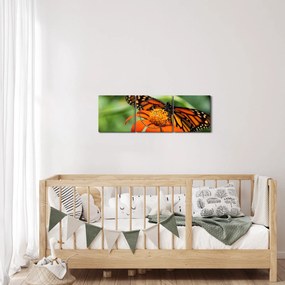 Tablou cu fluture pe floare (cu ceas) (90x30 cm)