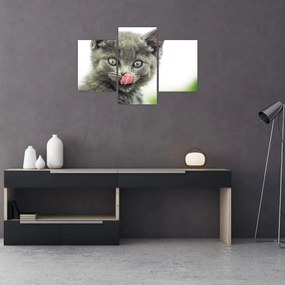 Tablou cu pisicuța lingându-se (90x60 cm)