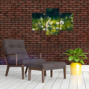 Tablou - Iarbă (90x60 cm)