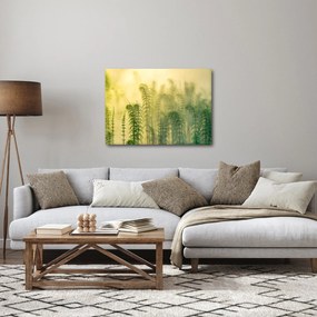 Tablou - Detaliu de primăvară natura cețoasă (70x50 cm)