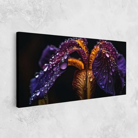 Tablou Canvas, 40x80cm, Dormitor si Living, Flori, Iris, Dark Iris After Rain