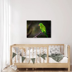 Tablou cu papagal pe greangă (70x50 cm)
