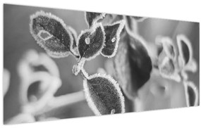 Tablou - Natura în toamnă (120x50 cm)
