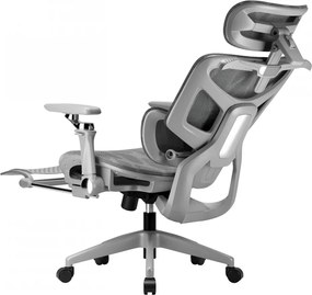 Scaun ergonomic, translatie sezut, cotiere 6D, tetiera 3D, suport lombar reglabil, pivotant, suport pentru picioare, Gri