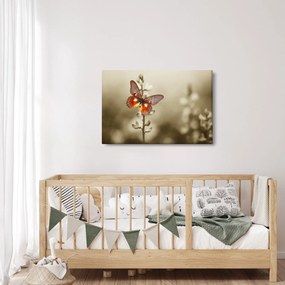 Tablou cu fluture (90x60 cm)