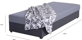 Pat tapițat cu spațiu de depozitare JACOB XL, 90x200 cm, capacitate 130 kg, gri