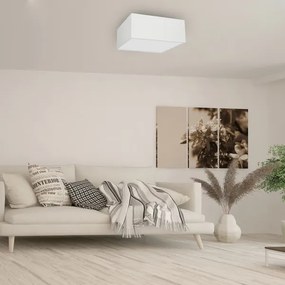 Plafonieră ALBION 3xE27/60W/230V