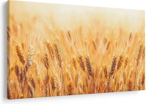Tablou - câmp cu grâne (90x60 cm)