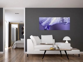 Tablou - Petală cu picături (120x50 cm)