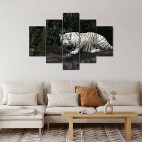 Tablou - Tigru alb (150x105 cm)