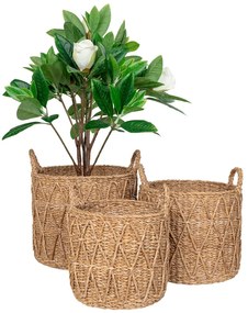 Coșuri Krabi, iarbă de mare, naturale, 3 buc