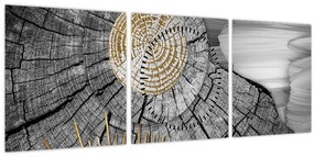 Tablou - Trunchiul copacului colaj (cu ceas) (90x30 cm)
