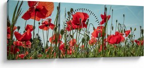 Tablou - Pe câmpul cu maci (cu ceas) (90x30 cm)