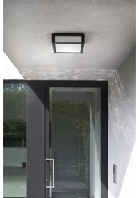 Plafonieră de exterior SKIES 2xE27/14W/230V IP44 antracit Philips