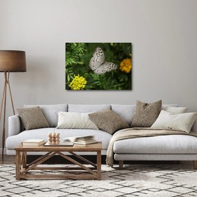 Tablou - fluture alb (70x50 cm)