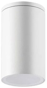 Spot aplicat, plafoniera pentru iluminat exterior, IP54 Heral alb