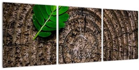 Tablou cu frunză pe trunchi de copac (cu ceas) (90x30 cm)
