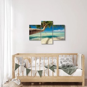 Tablou - Mare curată cu palmier (90x60 cm)