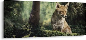 Tablou cu vulpe (120x50 cm)