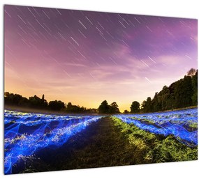 Tablou cu câmp colorat (70x50 cm)