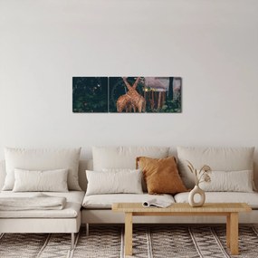 Tablou cu două girafe (cu ceas) (90x30 cm)