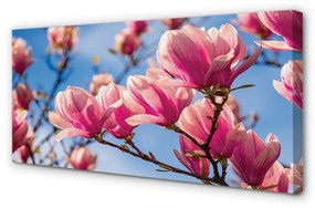 Tablouri canvas flori de copac