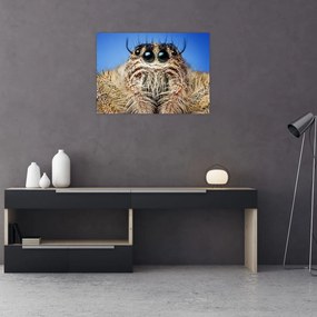 Tablou pe sticlă cu detalii a unui pâianjen (70x50 cm)