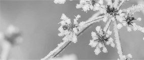 Tablou - Uzină congelată (120x50 cm)