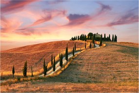 Tablou - Casa pe deal Toscana, Italia (90x60 cm)