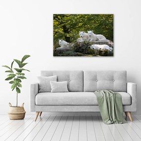 Pictură pe pânză Lupi white rock