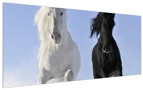 Tablou cu cai (120x50 cm), în 40 de alte dimensiuni noi