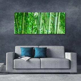 Tablouri acrilice Bamboo Peduncul Floral Verde