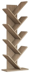 Biblioteca Hitit Walnut
