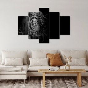 Tablou - Tigru sălbatic (150x105 cm)