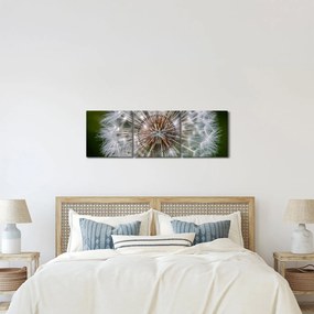 Tablou cu păpădie (cu ceas) (90x30 cm)
