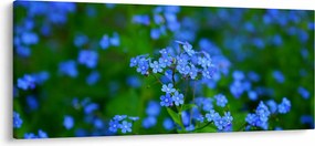 Tablou cu flori albastre (120x50 cm)